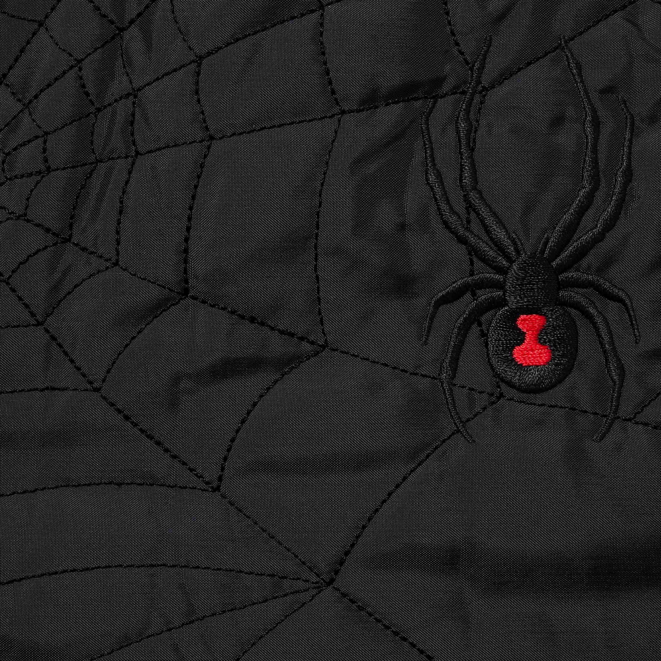 Supreme®/Spyder® Technical Jacket view 35